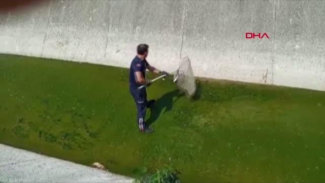 Son dakika gündem: Dere yatağında mahsur kalan yaralı martıyı itfaiye kurtardı