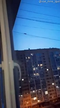 High Climbing Rat Climbs Across Power Line