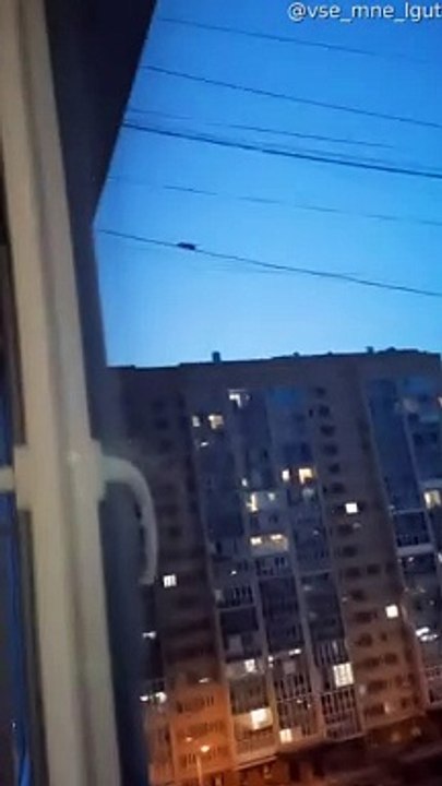 High Climbing Rat Climbs Across Power Line