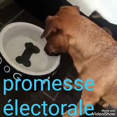 Promesses