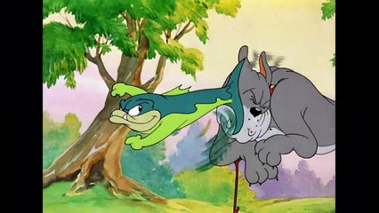 Tom & Jerry | Best Buddies  | Classic Cartoon Compilation | Wb Kids
