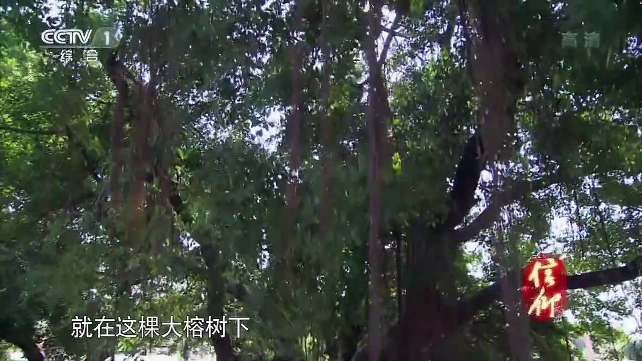 党史上的今天 (The Faith)