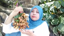 Makan buah rambai asam manis seger, bahasa jawa kecacel