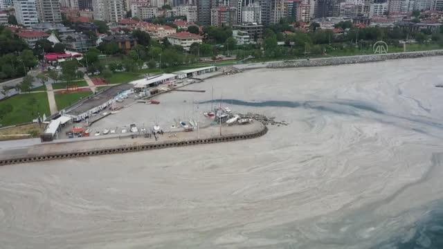 Marmara Denizi'nin İstanbul kıyılarında müsilaj, yok denilecek kadar azaldı