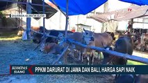Harga Hewan Qurban di Banjarmasin Naik, Terdampak PPKM Darurat Jawa - Bali