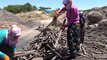ERZİNCAN - Alın terine kömür karası karışanlar: 'Mangal kömürü işçileri'