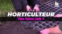 Métiers en pénurie - Horticulture