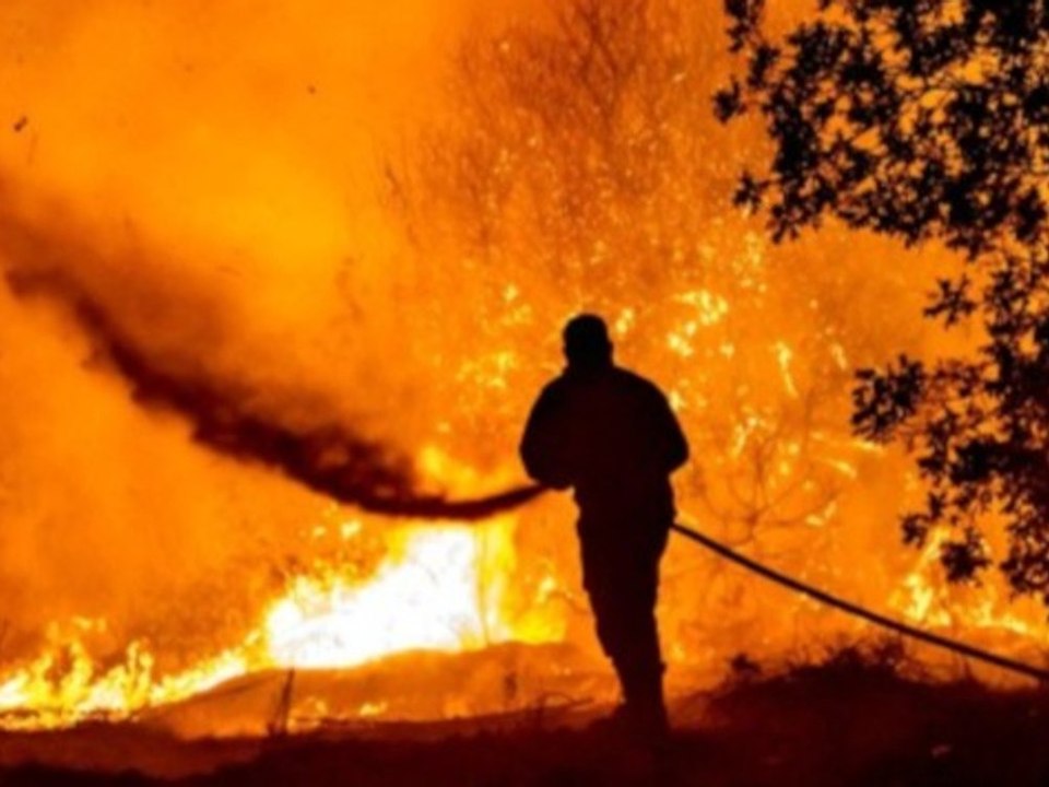 'Tragödie': Feuersbrünste ziehen durch Zypern, Kanada und die USA