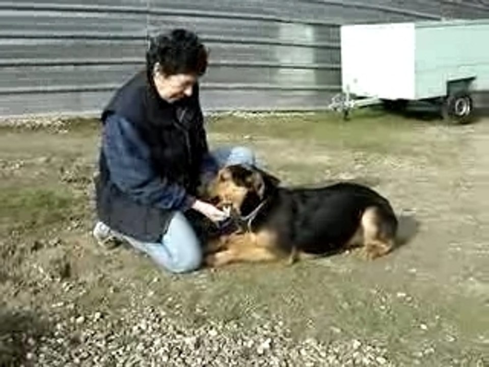 BEMOL et EMILY MOV02473
