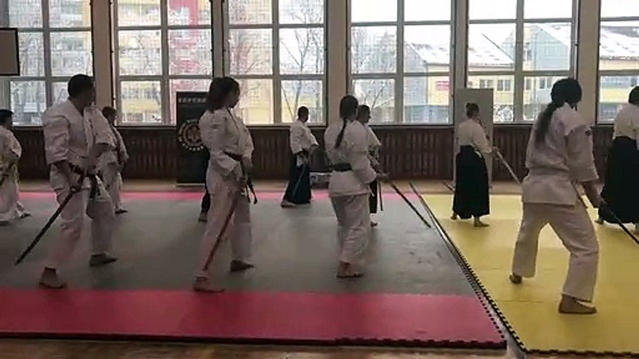 Cvičení s bokken   Zimní škola 2018