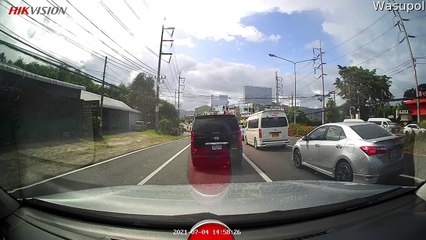 Good Samaritan Stops Traffic to Save Seriously Lucky Kitten