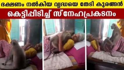Monkey visits old woman who fed him regularly