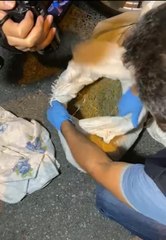 Son dakika haberleri | Esenler'de polisin araçta 5 kilo uyuşturucu bulduğu anlar kamerada