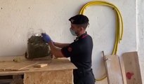 Mazara del Vallo (TP) - 5 chili di marijuana in casa: arrestato 56enne (06.07.21)