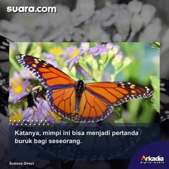 Arti Mimpi Melihat Kupu-Kupu, Pertanda Mendapat Kemewahan?