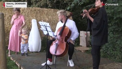 Corona-Pandemie: Klassik-Konzerte für glückliche Kühe