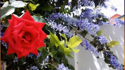 02 - Headlines with Fazeer: 6th July, 2021