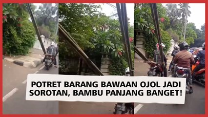 Potret Barang Bawaan Ojol Jadi Sorotan, Bambu Panjang Hampir Menyentuh Pepohonan