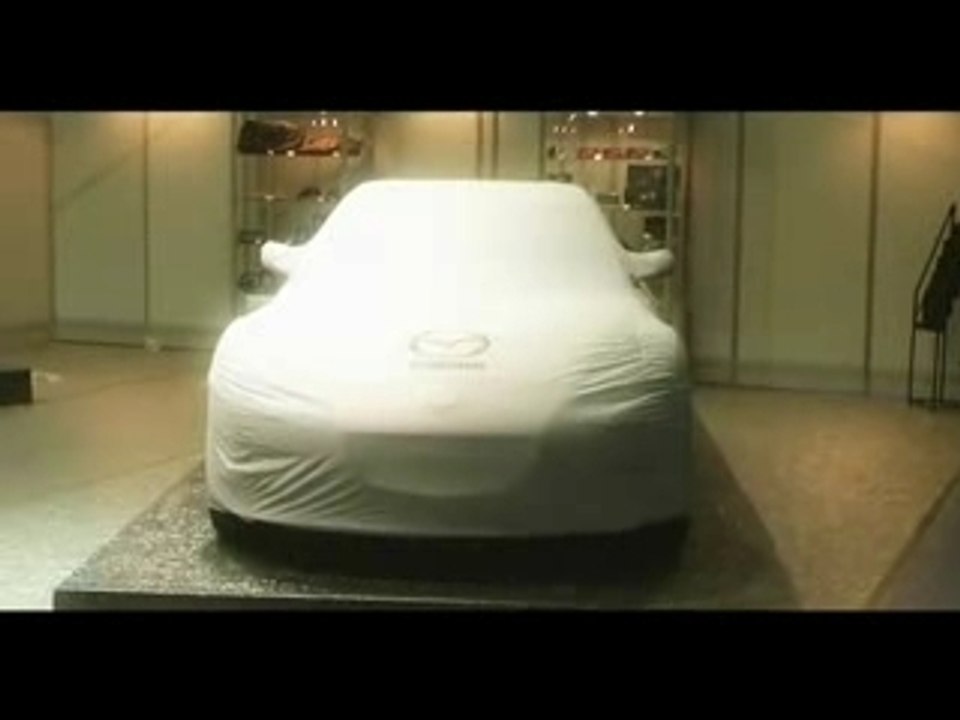 Paris Tuning & Racing Show 2008  les coulisses drift girls