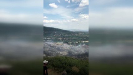 İZMİR - Ödemiş'te zeytinlikte çıkan yangın söndürüldü