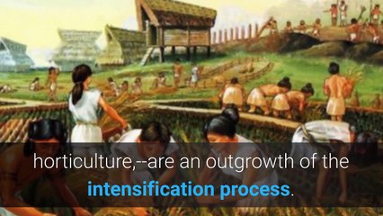 Cultural Ecology: Sociocultural Materialism Part 2: System-Dynamics