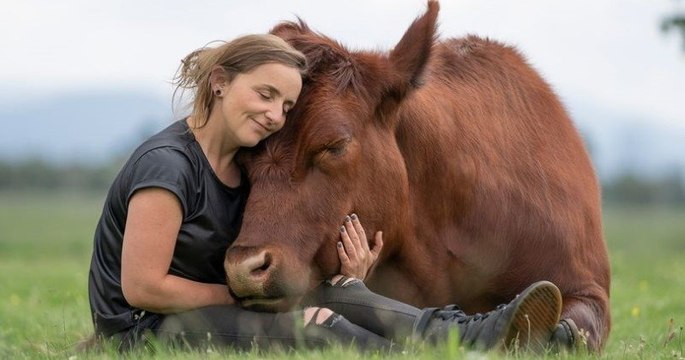 Cette femme a noué une amitié incroyable avec un taureau, qu'elle a sauvé d'une mort certaine