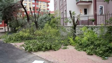 Bir sitenin bahçesindeki ağaçların kesilmesi tepki çekti