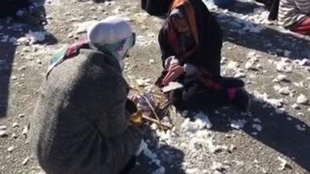 تحدي المانيكان