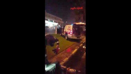 شرطة دبي تنقذ قطة