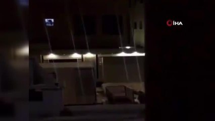 Suudi Arabistan'da evin çatısında dolaşan aslan paniğe neden oldu