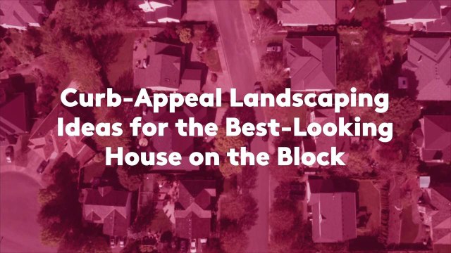 Curb-Appeal Landscaping Ideas for the Best-Looking House on the Block