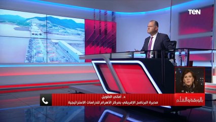 أمانى الطويل: جلسة مجلس الأمن ستشهد تقدما فى موقفه حول أزمة سد النهضة