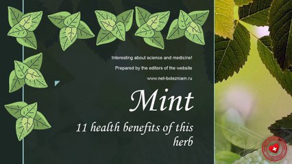 Peppermint: 11 health benefits of this plant