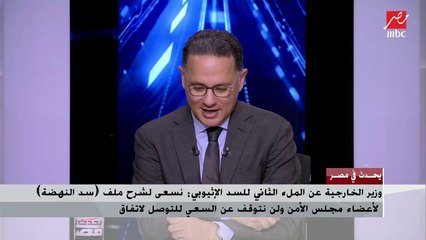 هذه هي بنود مشروع القرار العربي حول السد الإثيوبي