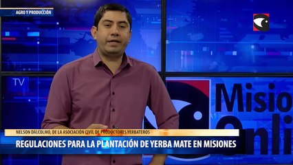 Regulaciones para la plantación de yerba mate en Misiones
