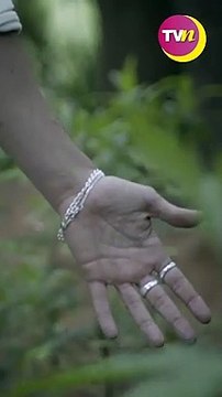 Eleazar Gómez reaparece en la TV para presentar su nuevo tema musical 'De Cero'