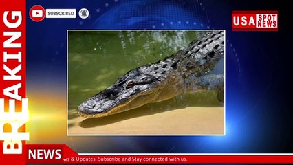 Florida woman dies from apparent gator attack in retention pond