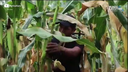 Economía y Negocios: la inversión fija bruta en México cae 0.9%