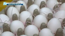 [LIVING] BIRD EGGS  1 Million WON?! OLD-AGE Fund Fraud, 기분 좋은 날 210707