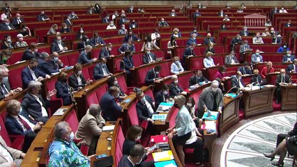 1ère séance : Questions au Gouvernement ; Dispositions d’adaptation au droit de l’union européenne ; Protection des enfants - Mardi 6 juillet 2021
