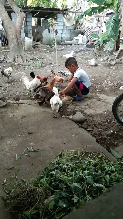feeding time