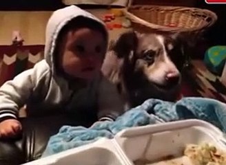 Minik çocuğa rakip çıktı