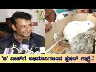 Challenging Star Darshan Birthday | 'ಡಿ' ಬಾಸ್‍ಗೆ ಅಭಿಮಾನಿಗಳಿಂದ ಸ್ಪೆಷಲ್ ಗಿಫ್ಟ್..!