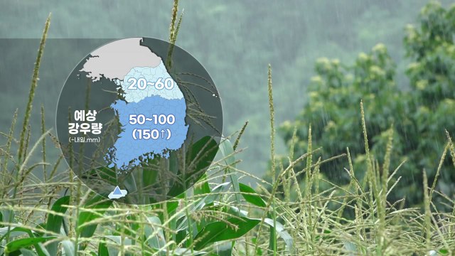[날씨] 충청 이남 호우특보 계속...남해안 국지성 호우 / YTN