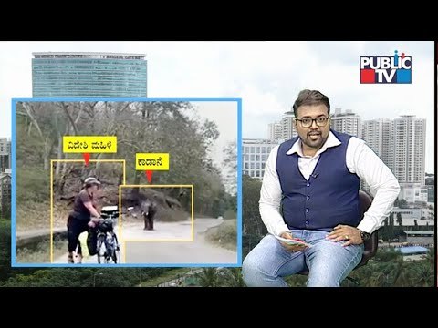 Public TV Digital | Elephant Appears Before A Woman In Madhumalai Forest | Feb 18, 2020