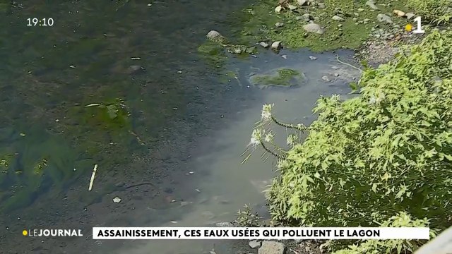 Assainissement, ces eaux usées qui polluent le lagon.