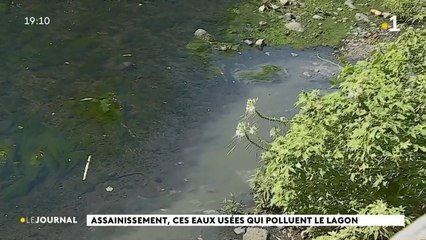 Assainissement, ces eaux usées qui polluent le lagon.