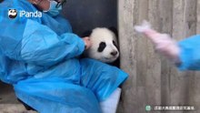 耳朵的触感她知道
