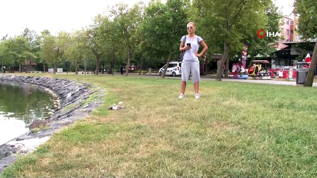 Küçükçekmece Gölü’nde balık ölümlerinden sonra martı ölümleri