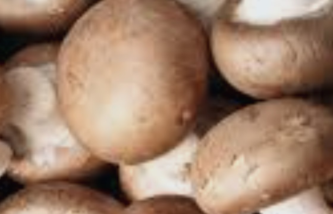 Selon une étude manger des champignons réduirait le risque de cancer de 45%